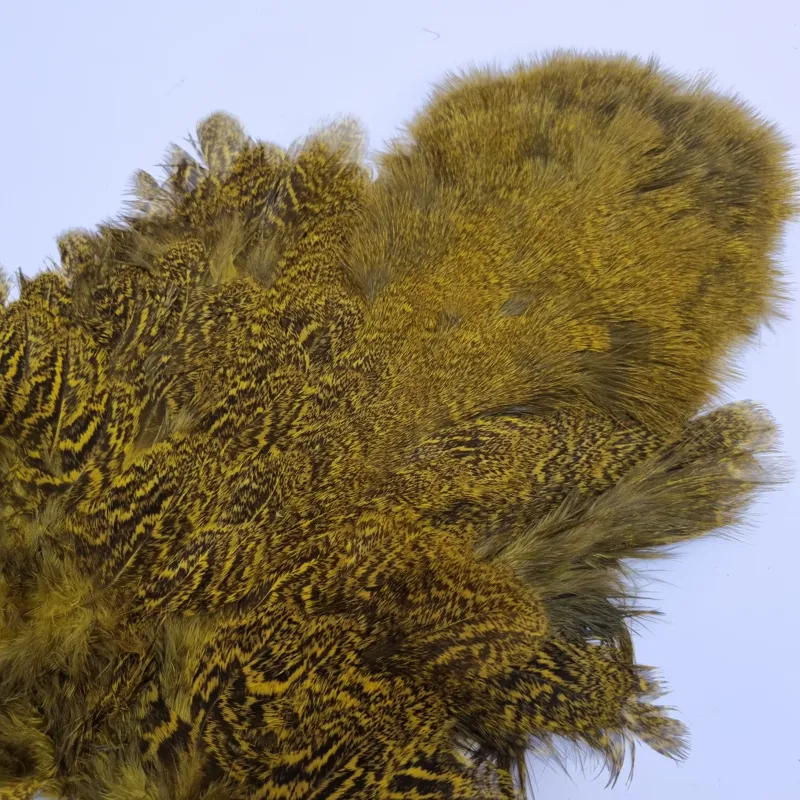 Whiting Coq de Leon Hen Soft Hackle with Chickabou in Speckled Yellow-6